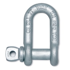 Forged Alloy Chain Shackle (with Screw Pin)