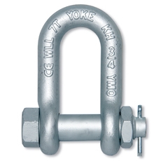 Forged Alloy Chain Shackle